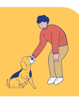 Beagle Petting Dog