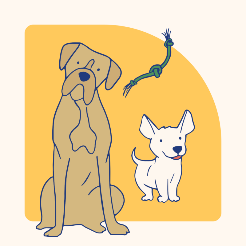 Uni Dogs