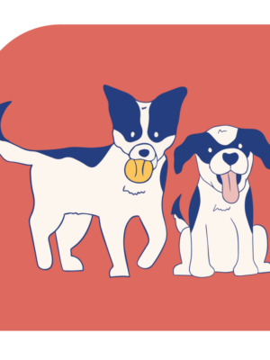Dogs Dogs