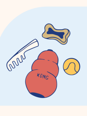 Kongs Kongs