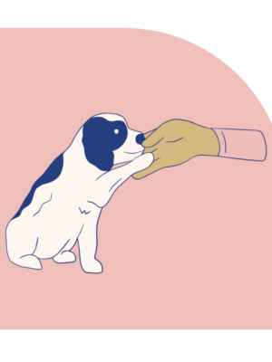Shake Shake