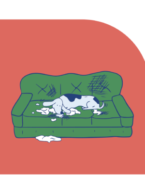 SAImage1-2 Separation Anxiety Dog Couch