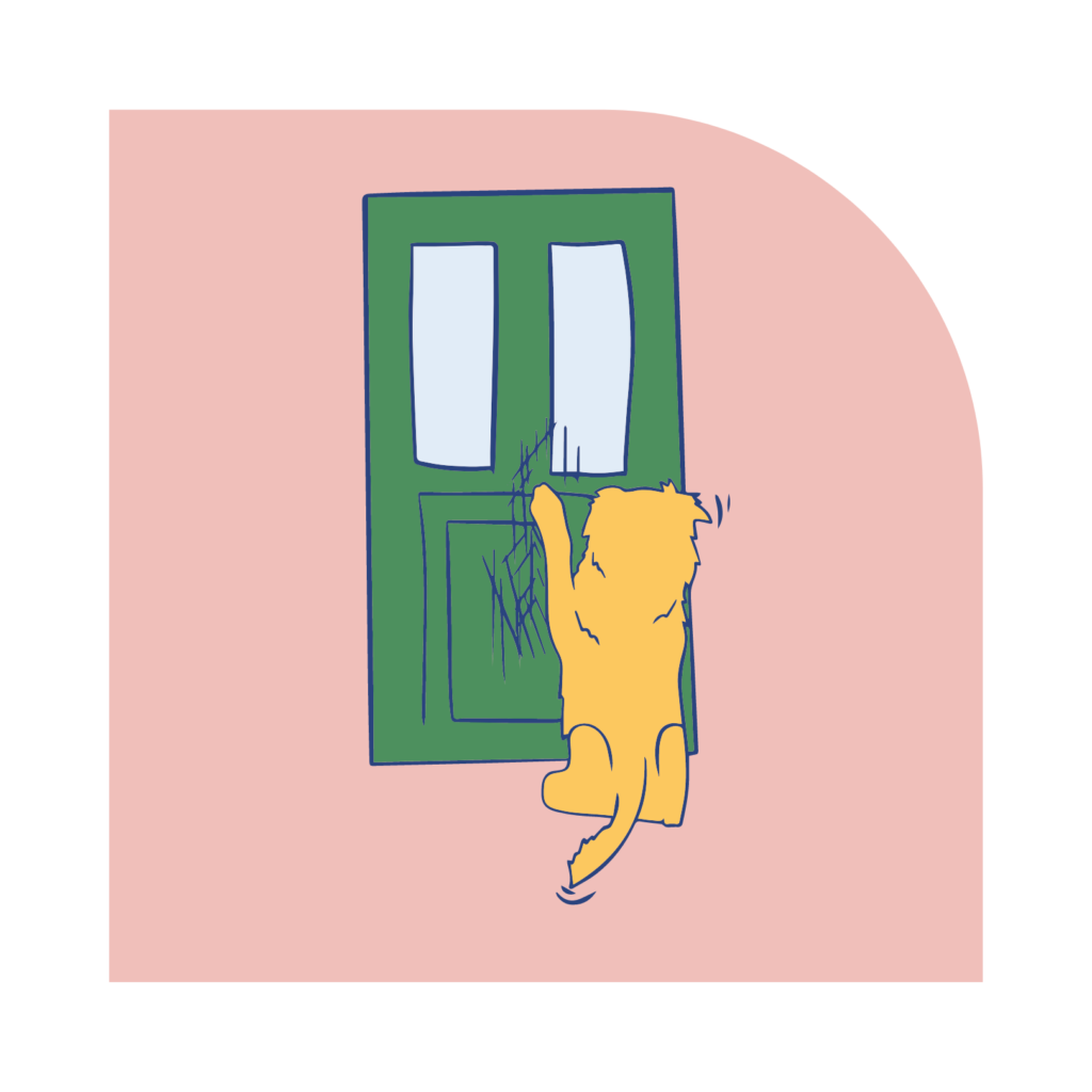 SAImage3 Separation Anxiety Scratching Door