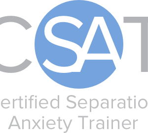 CSAT Logo