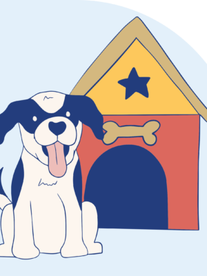 Jump Start Puppy House