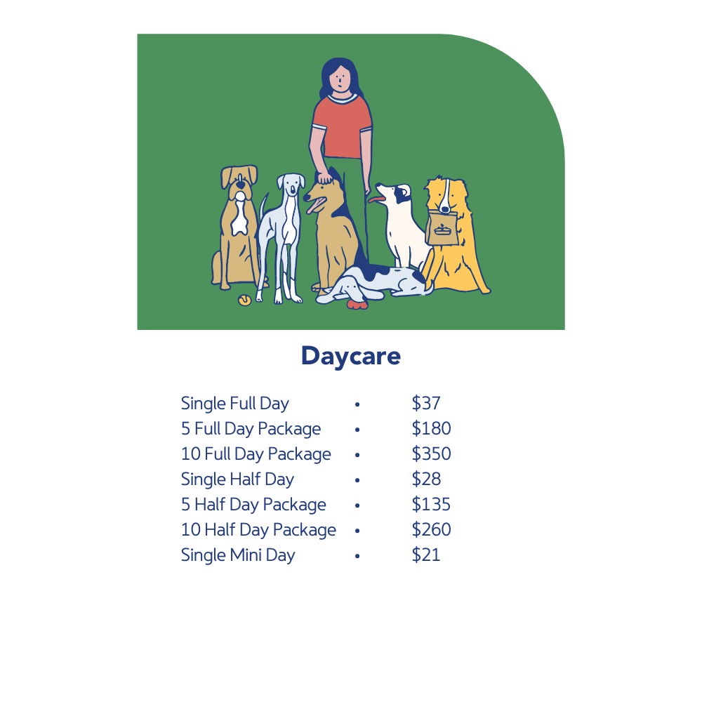 Daycare pricing
