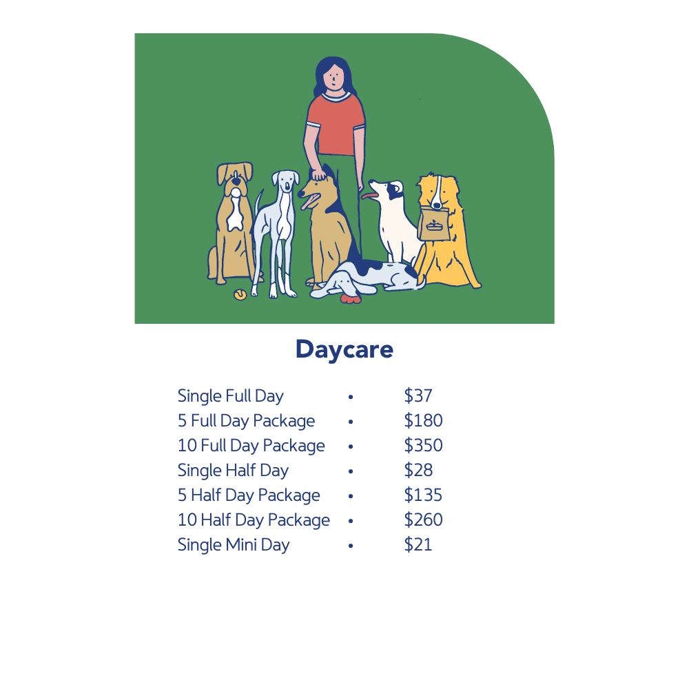 1 Daycare pricing