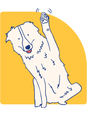 Waving Dog