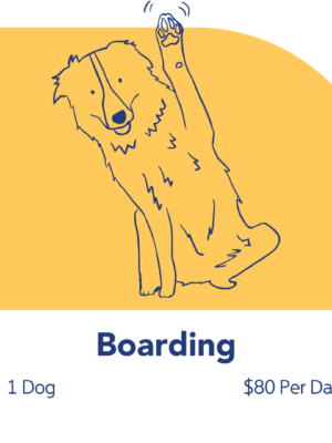 Boarding Rates