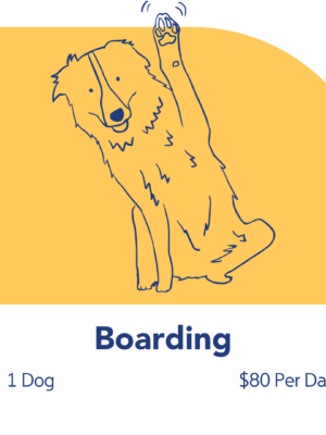 Boarding Rates Boarding Rates