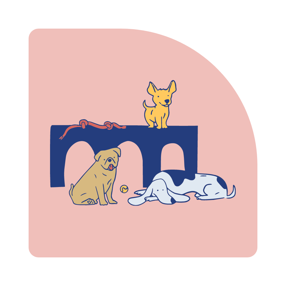 5 Daycare Image