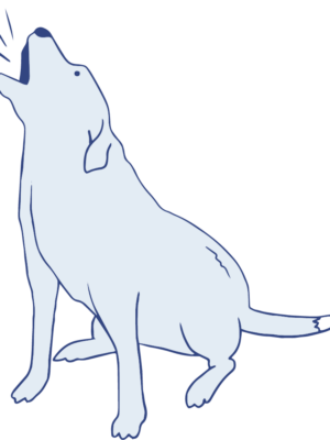 Howling Dog Howling Dog