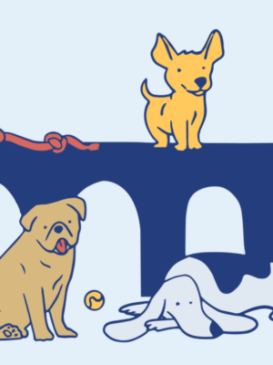 DaycareHeader Daycare Header