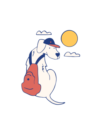 Headers Dog Backpack
