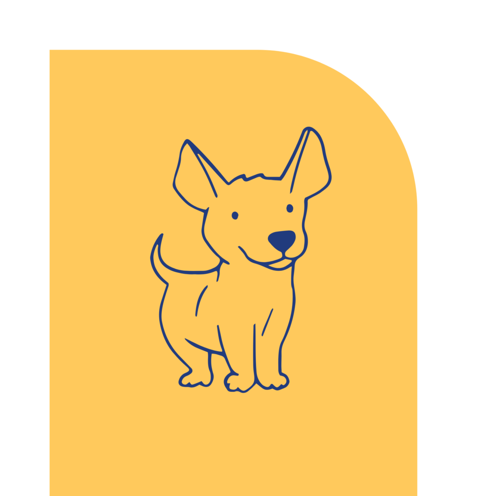 Jump Start Puppy Yellow Jump Start Puppy Yellow