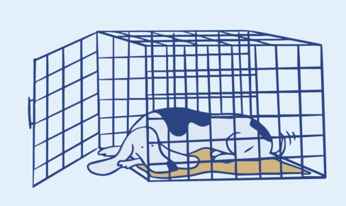 Sep Anxiety Header Sep Anxiety Header